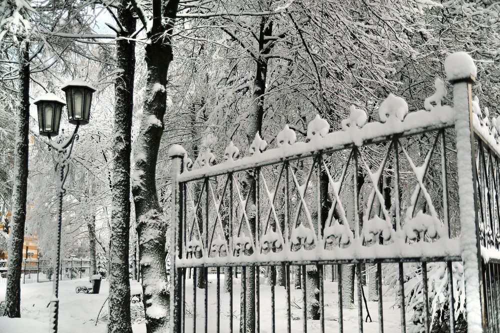 Photograph by Cергей Абакумов