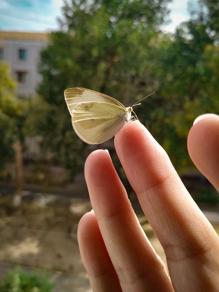 Photograph by Нигора Каримова