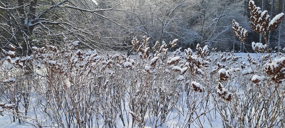 Photograph by Николай Худяков