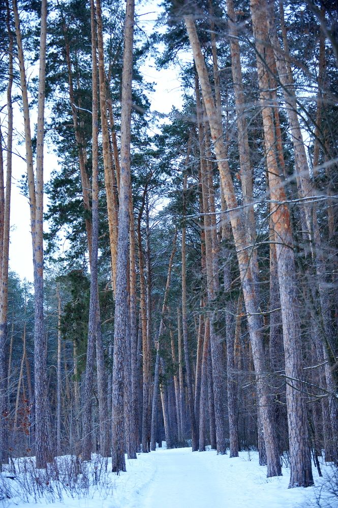 Photograph by Алексей Козлов