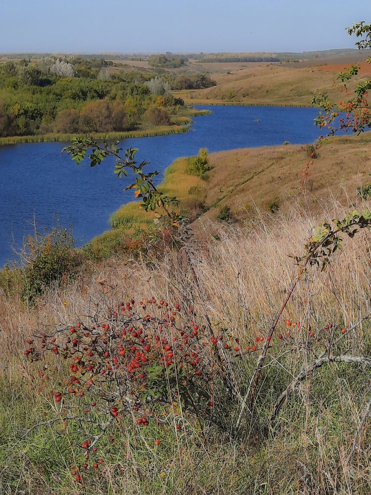 Фотография автора Irina Vornacheva