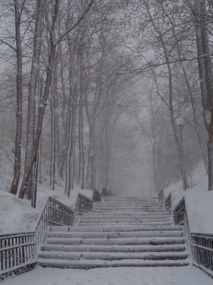 Photograph by Игорь Максимов