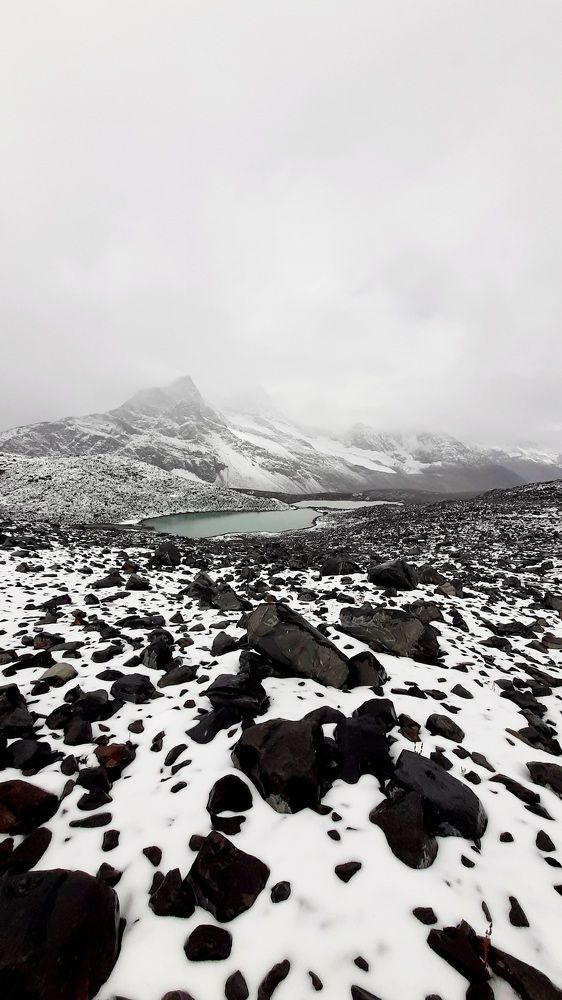 Photo #10051185