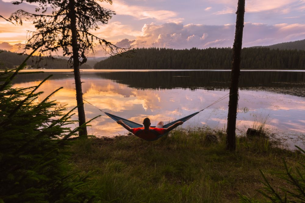 Фотография автора Lyuboslav Bochev