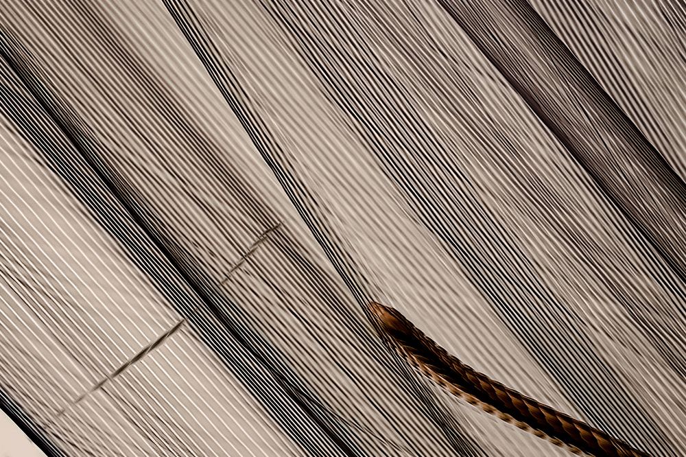 Photograph by Dhruv Shilpi