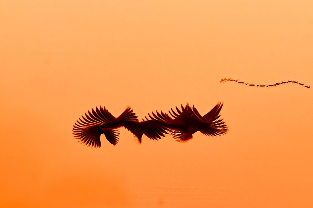 Photograph by Dhruv Shilpi