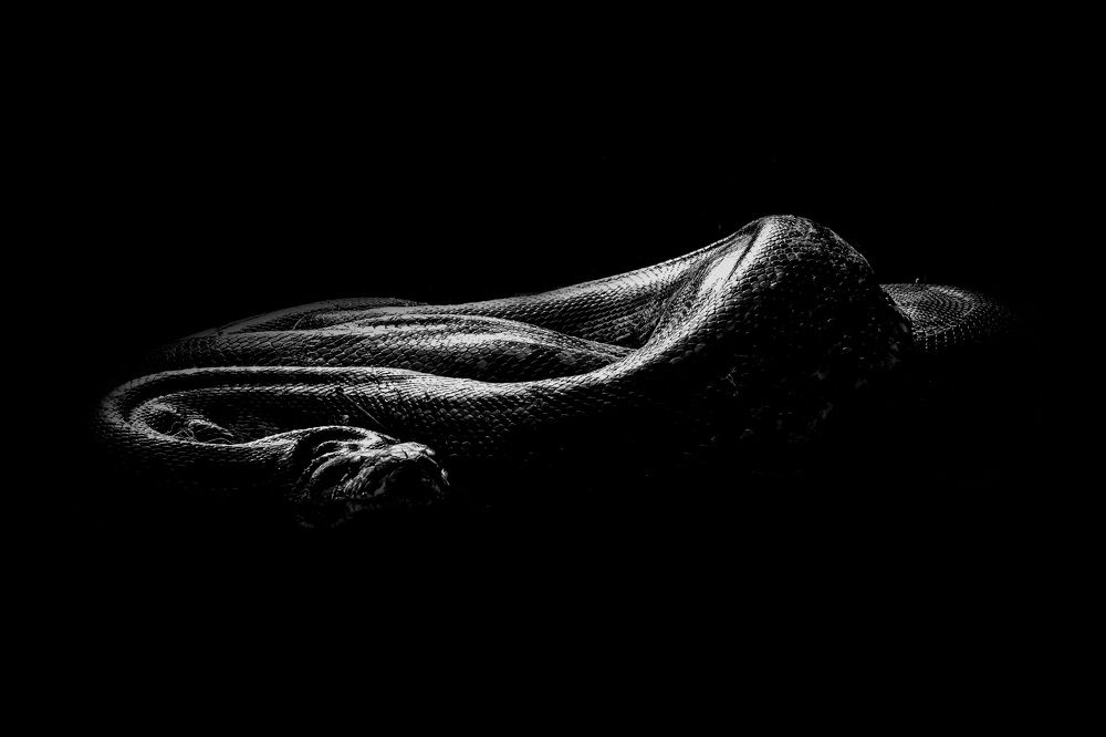 Photograph by Dhruv Shilpi