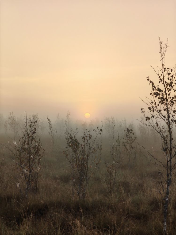 Photograph by Алена