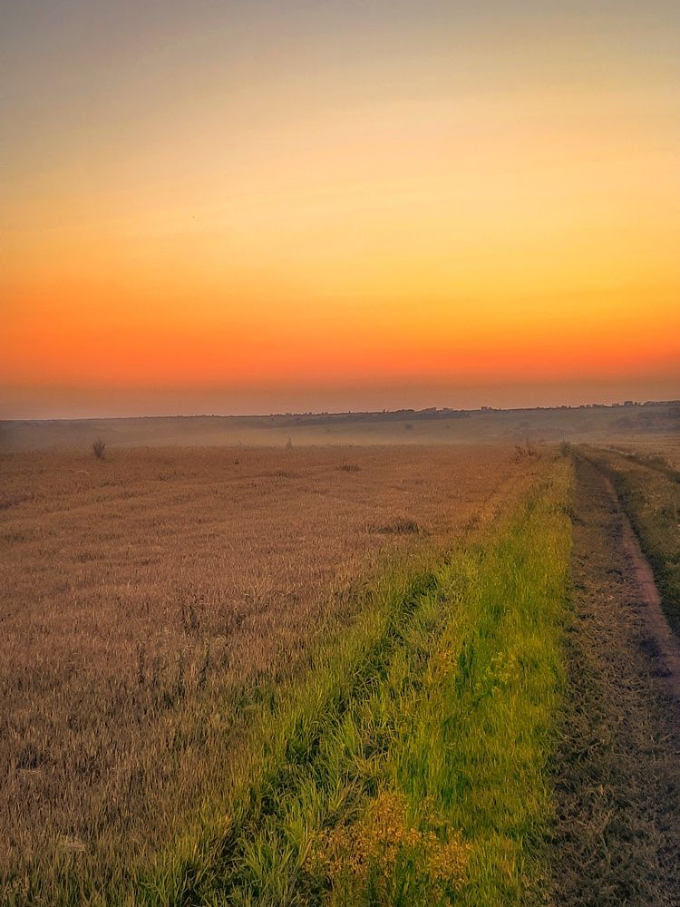 Фотография автора Irina Vornacheva