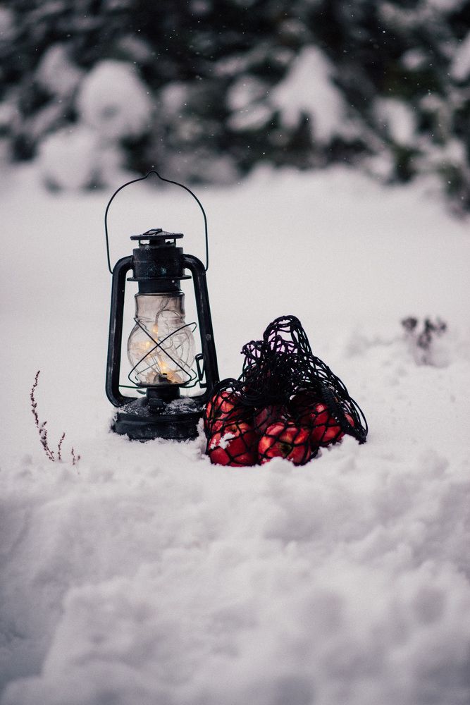 Photograph by Светлана Субботина