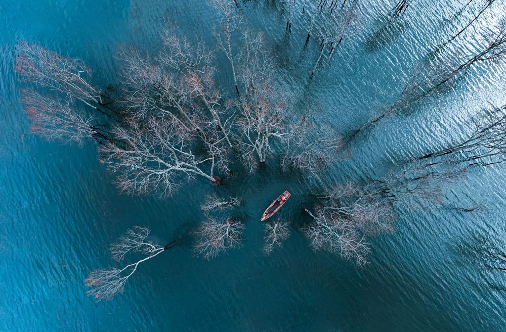 Фотография автора Pham Nga