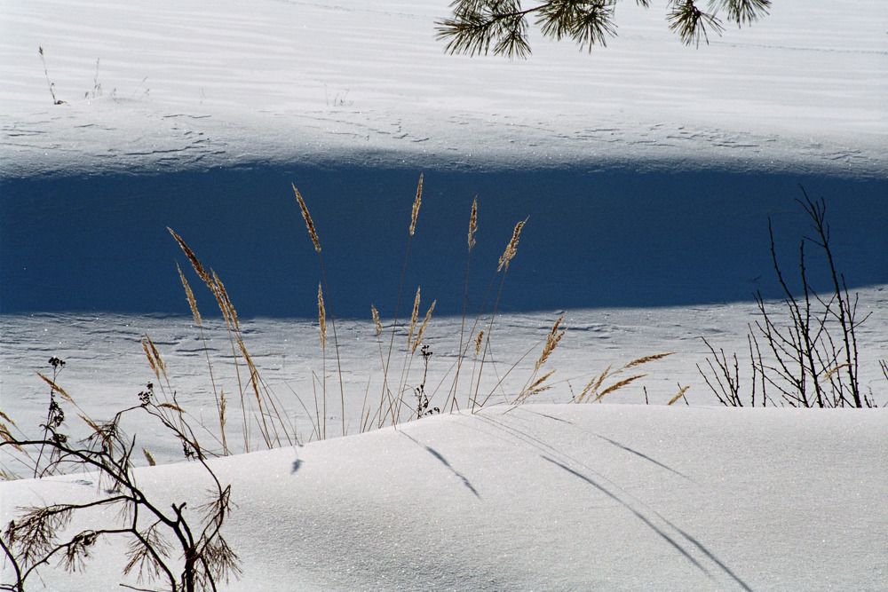 Photograph by Фарит