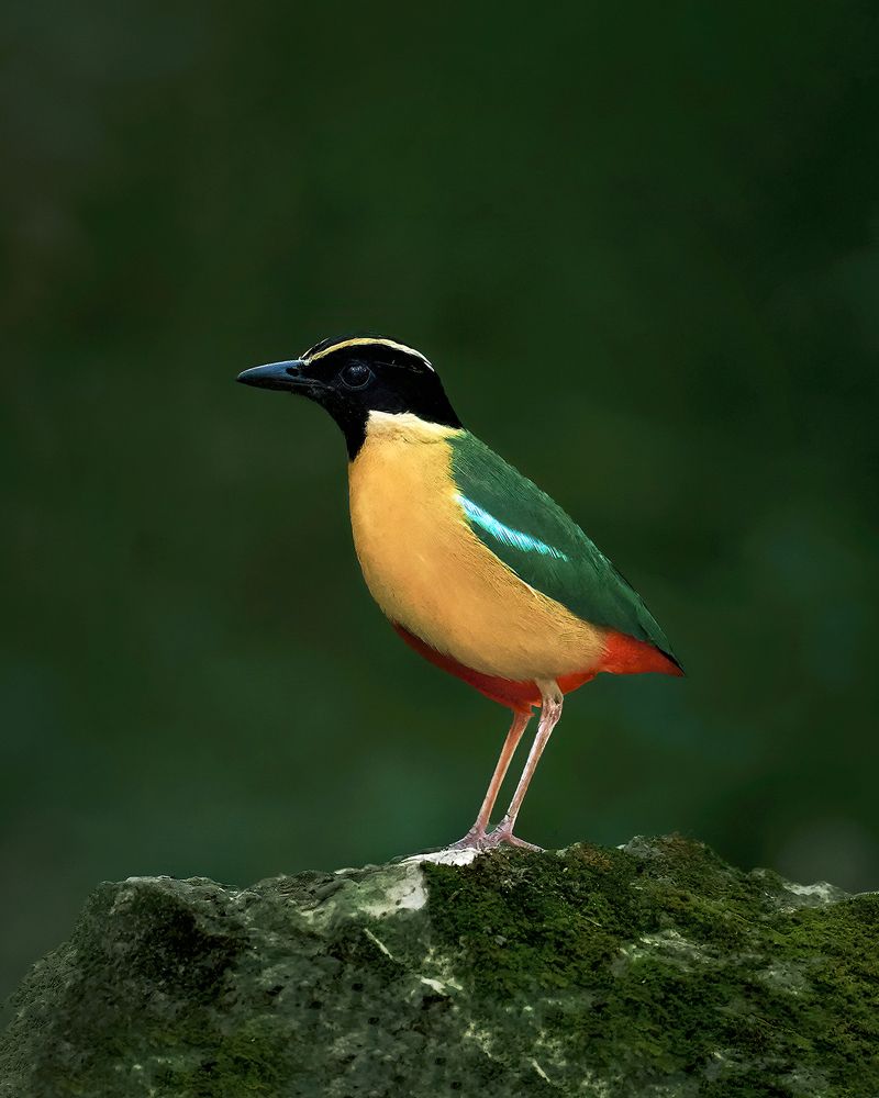 Photograph by Lugyanti Sukrisman