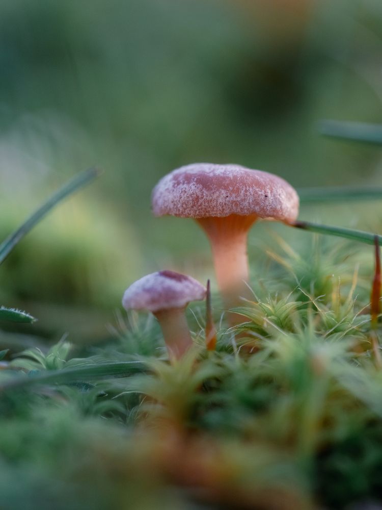 Photograph by Протченко Ирина