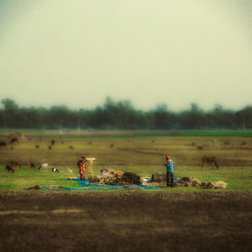 Photograph by Ongkon