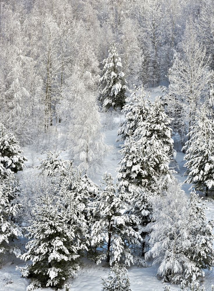 Photograph by Ольга Семина