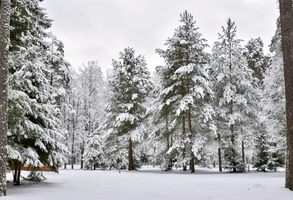 Photograph by Ольга Семина