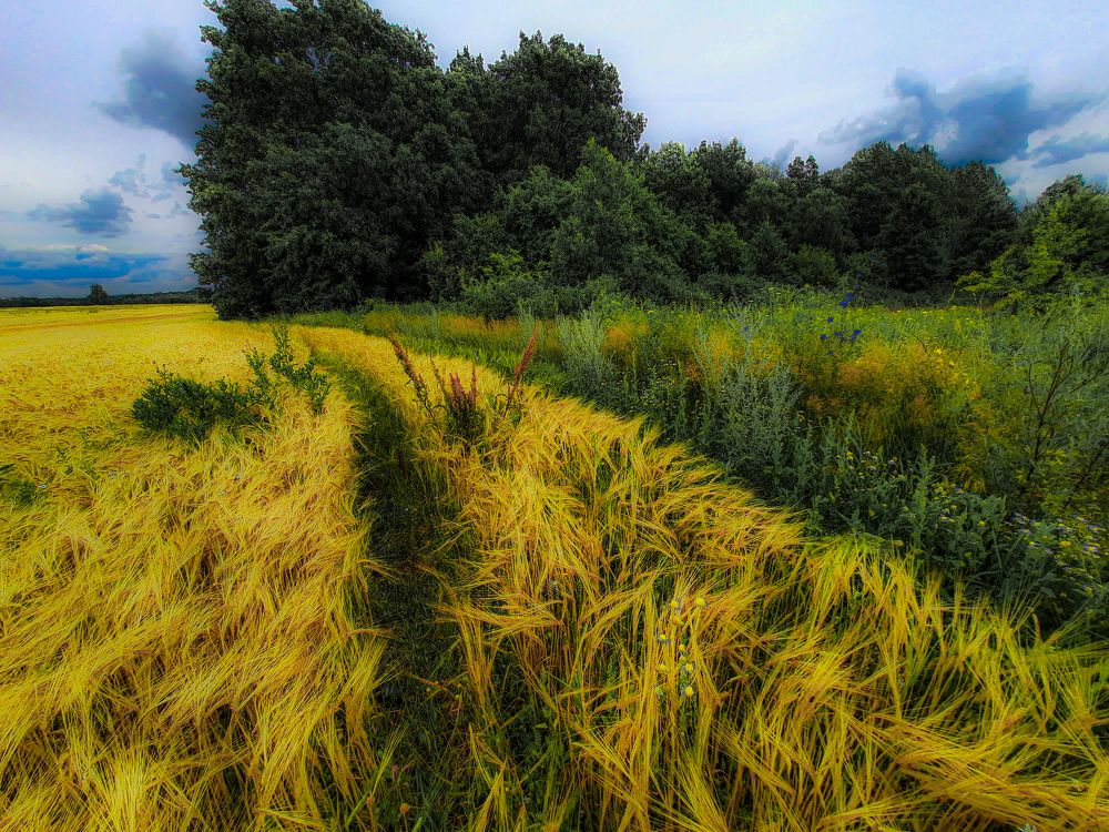 Фотография автора Irina Vornacheva