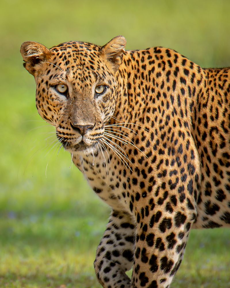 I always keep  my on you ..