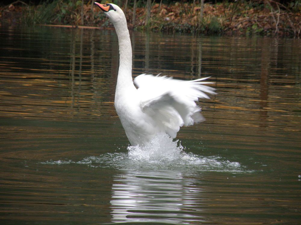 Photograph by Константин