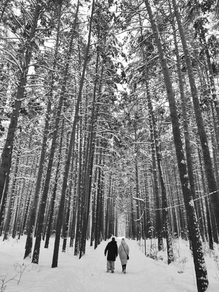 Photograph by Виталий Черепенькин