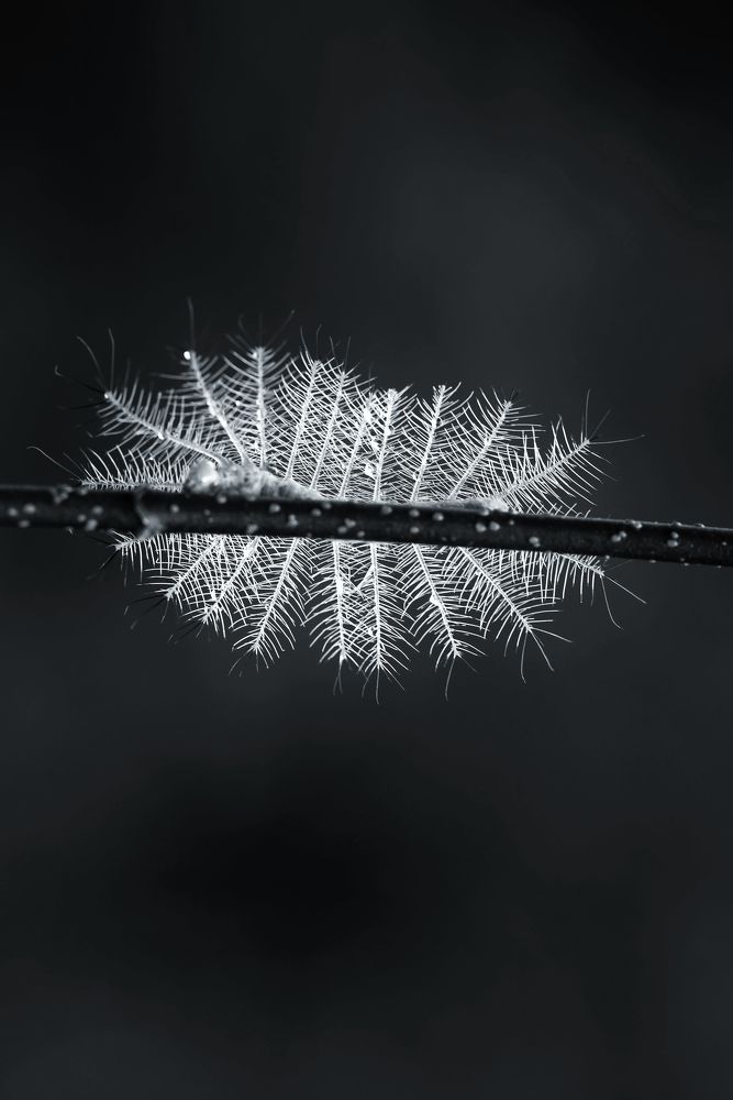 Photograph by Masoud Nikookalam