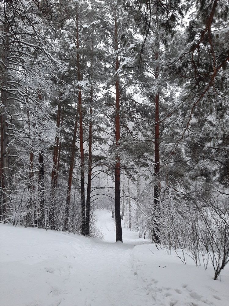 Photograph by Елена Горева