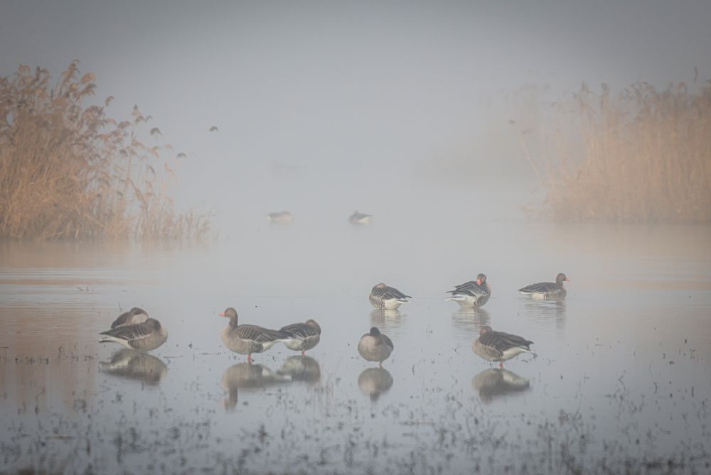 Photograph by Eva Wiedemann