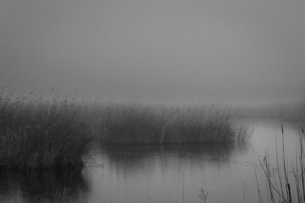 Photograph by Eva Wiedemann