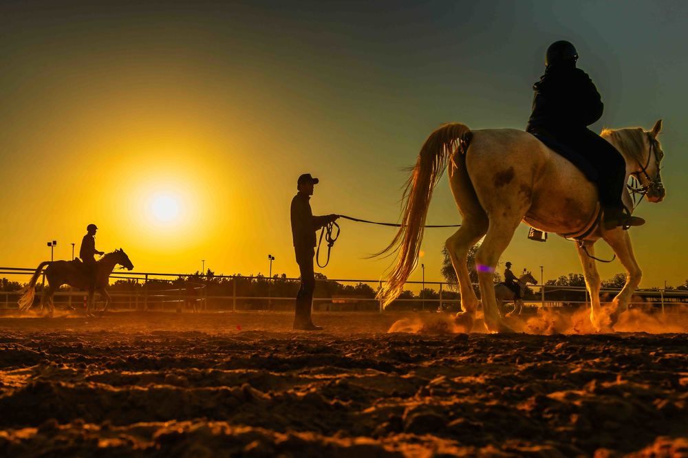 Photograph by Zubair Irshad