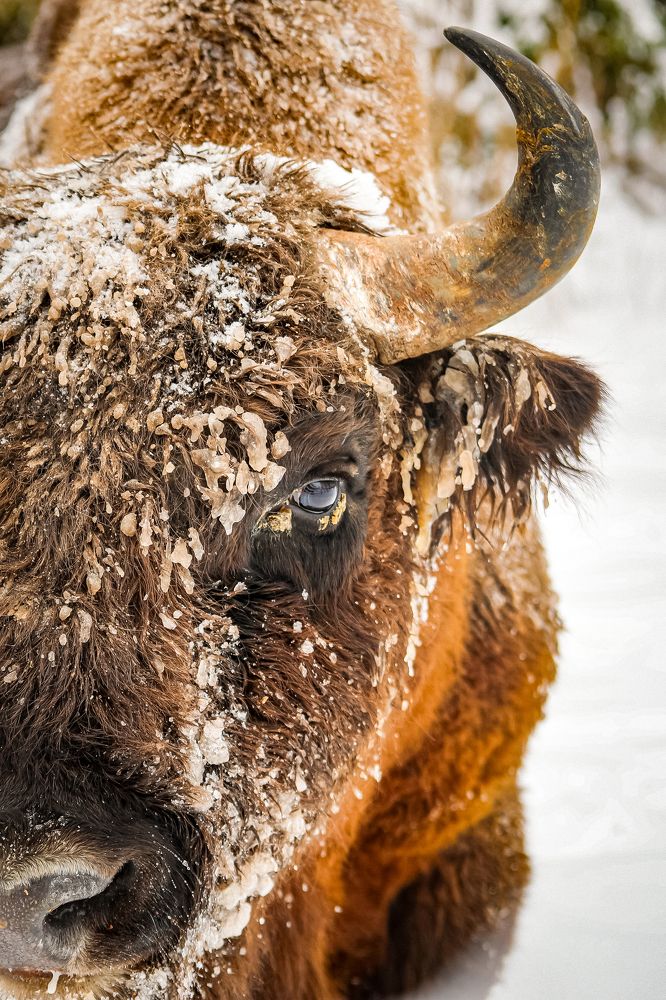 Photograph by Светлана Солдатченкова
