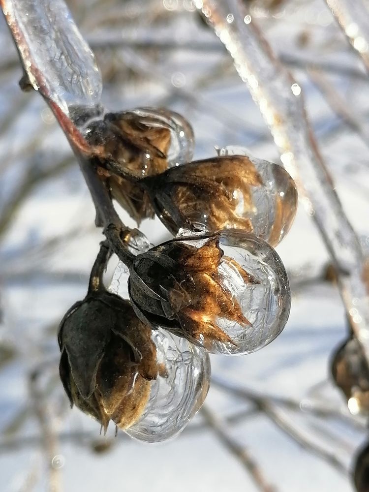 Photograph by Анжелика