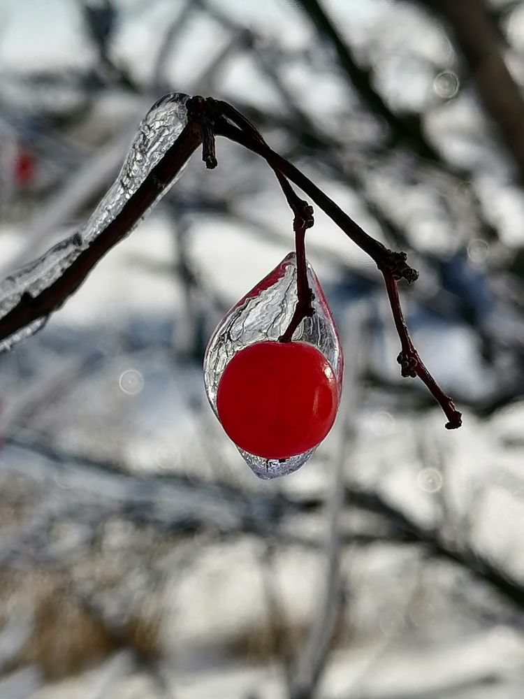 Photograph by Анжелика