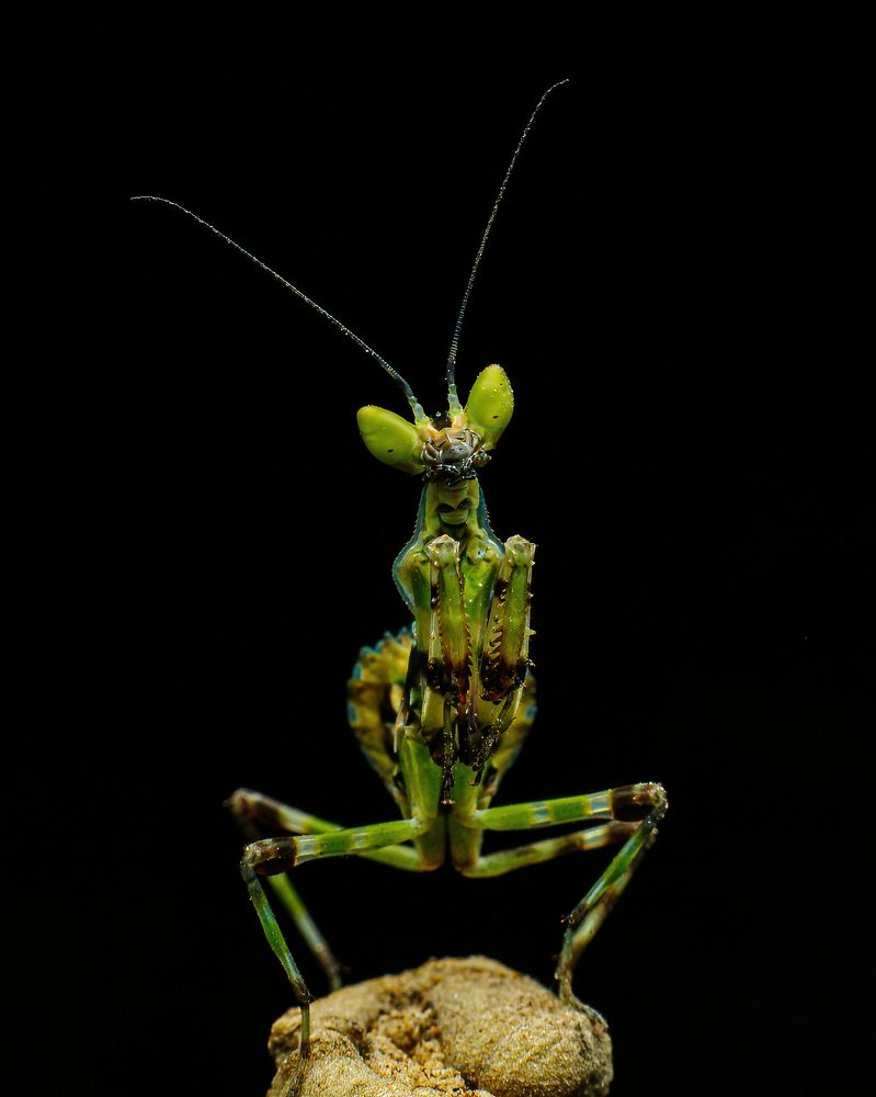 Фотография автора Hari Venkatesh