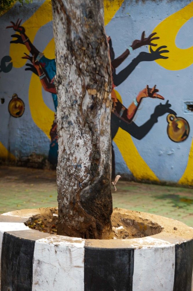 Photograph by Zubair Irshad