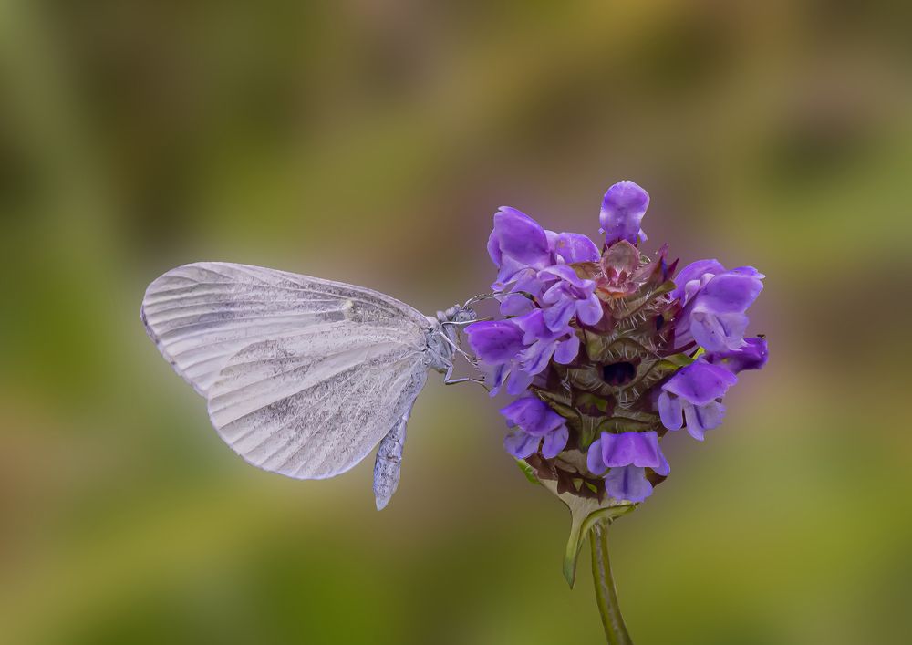 Photograph by Екатерина Бурикова