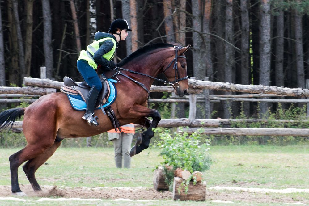 Photograph by Максим Ушаков