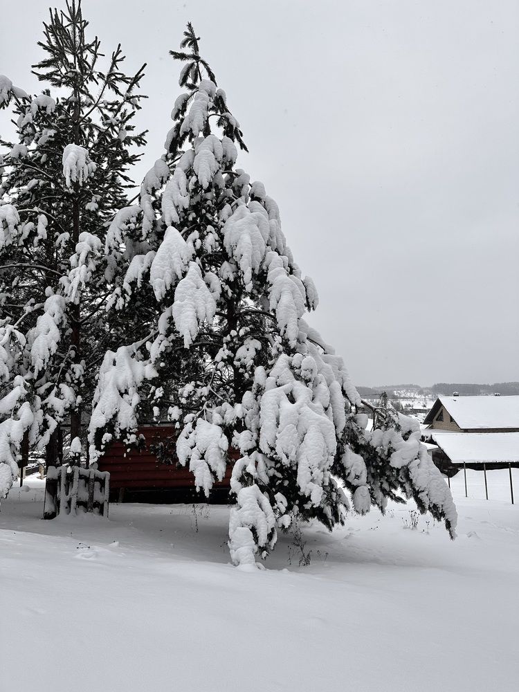 Photograph by Гуляева Светлана