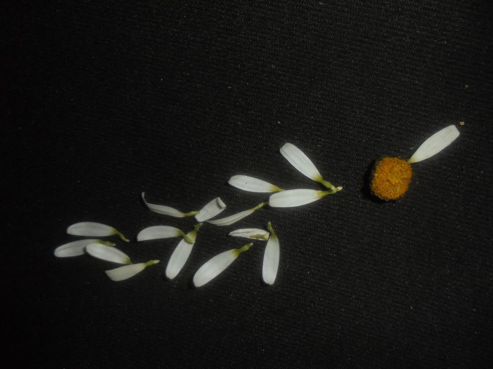 Photograph by Лилия Исхакова