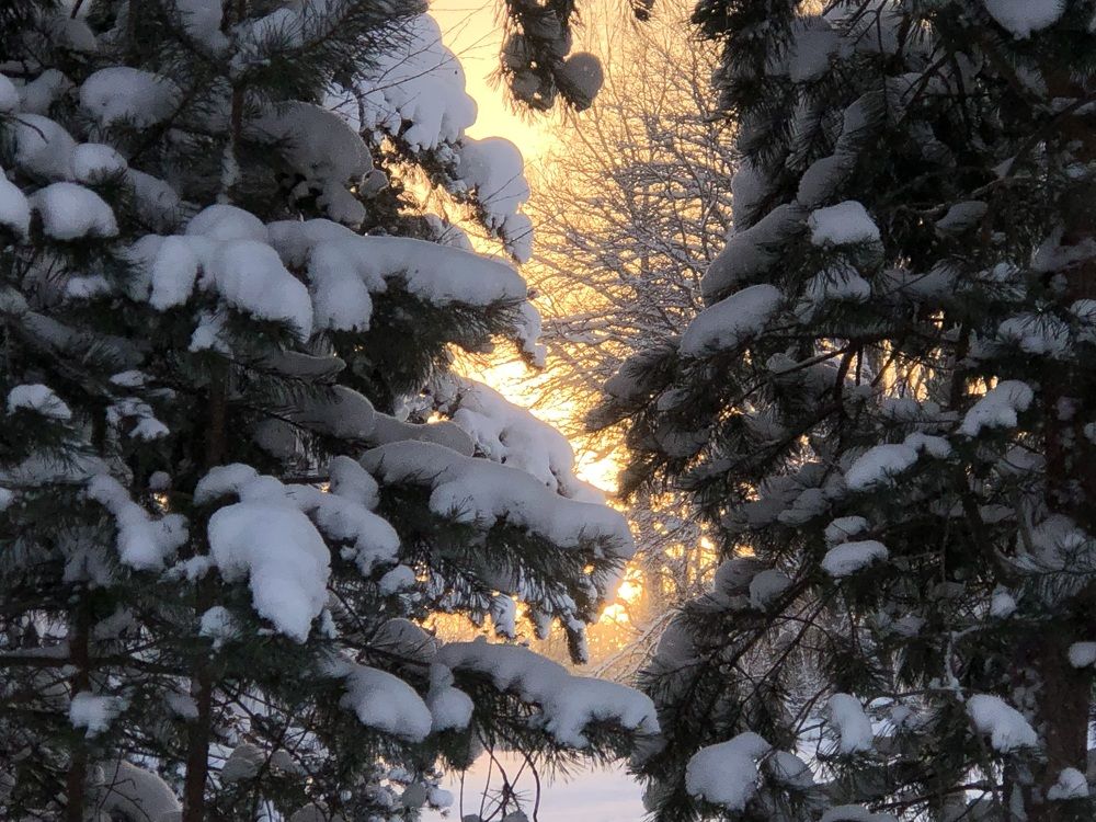 Photograph by Мария Бессмертная