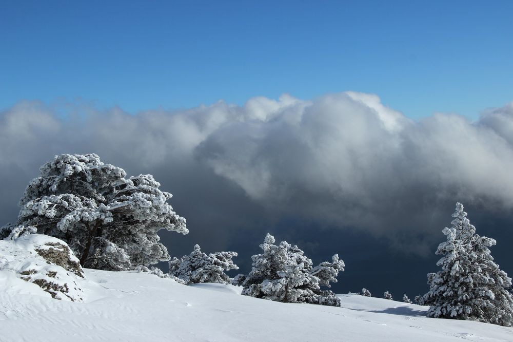 Дыхание зимы