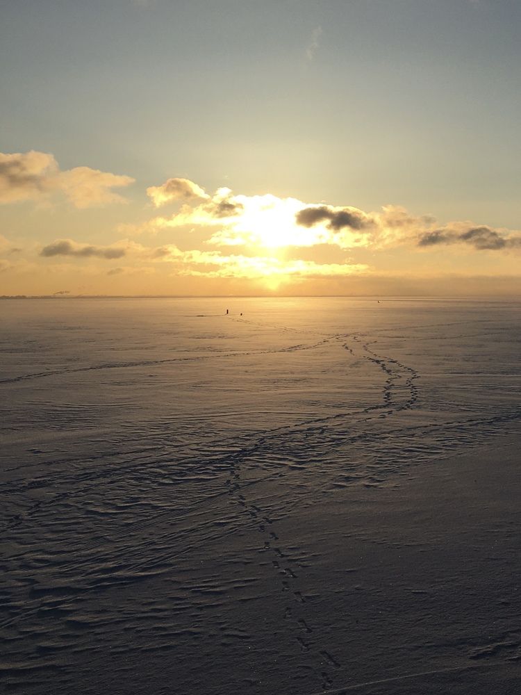 Фотография автора Александр Сипаров
