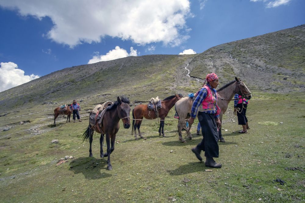 Фотография автора Mojtaba Chenari