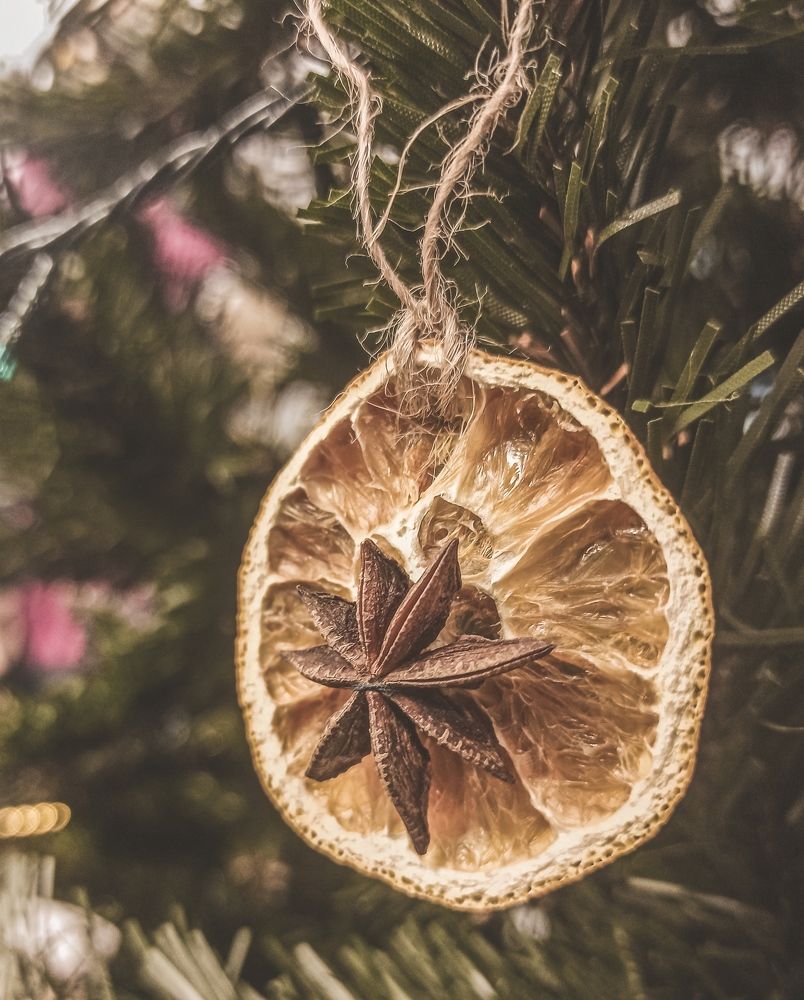 Photograph by Алексей Верхотурцев