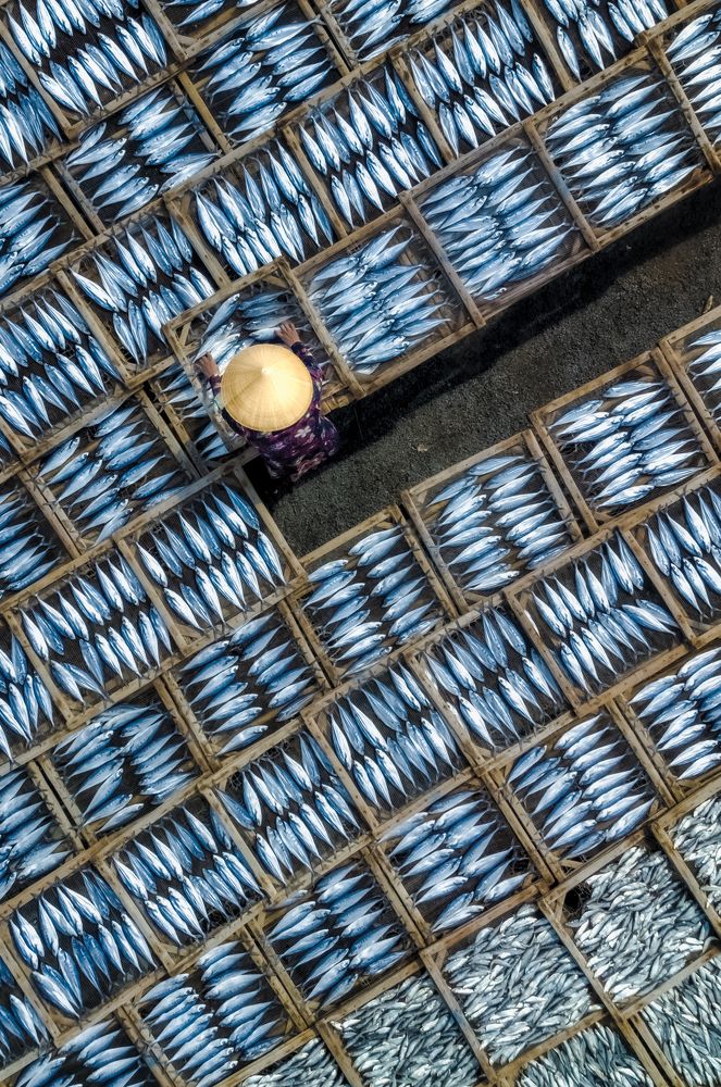 Photograph by Lê Huy Anh