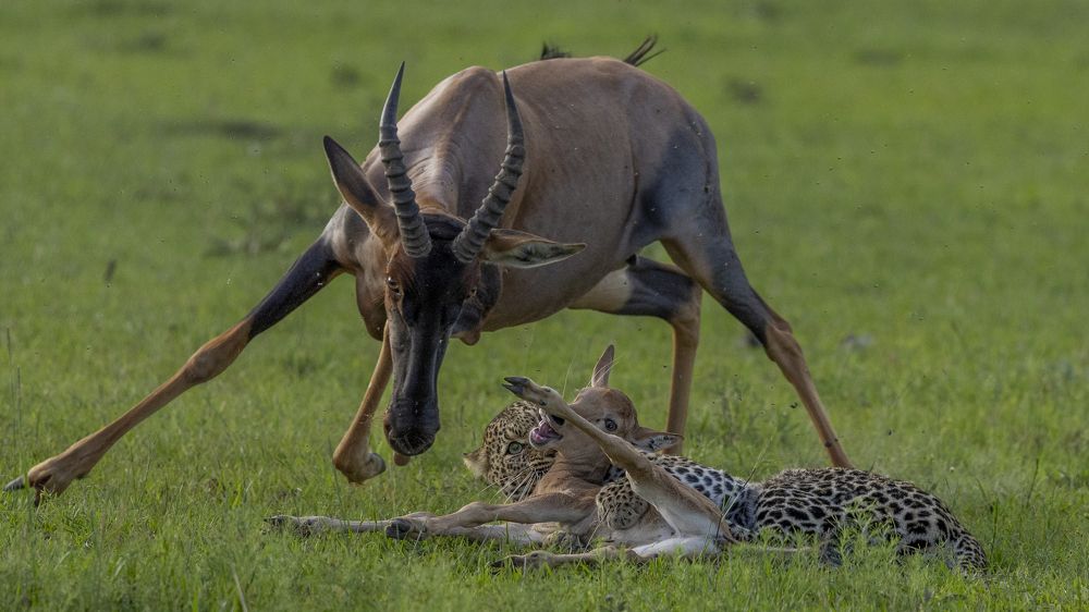 Photograph by Kennedy Amungo