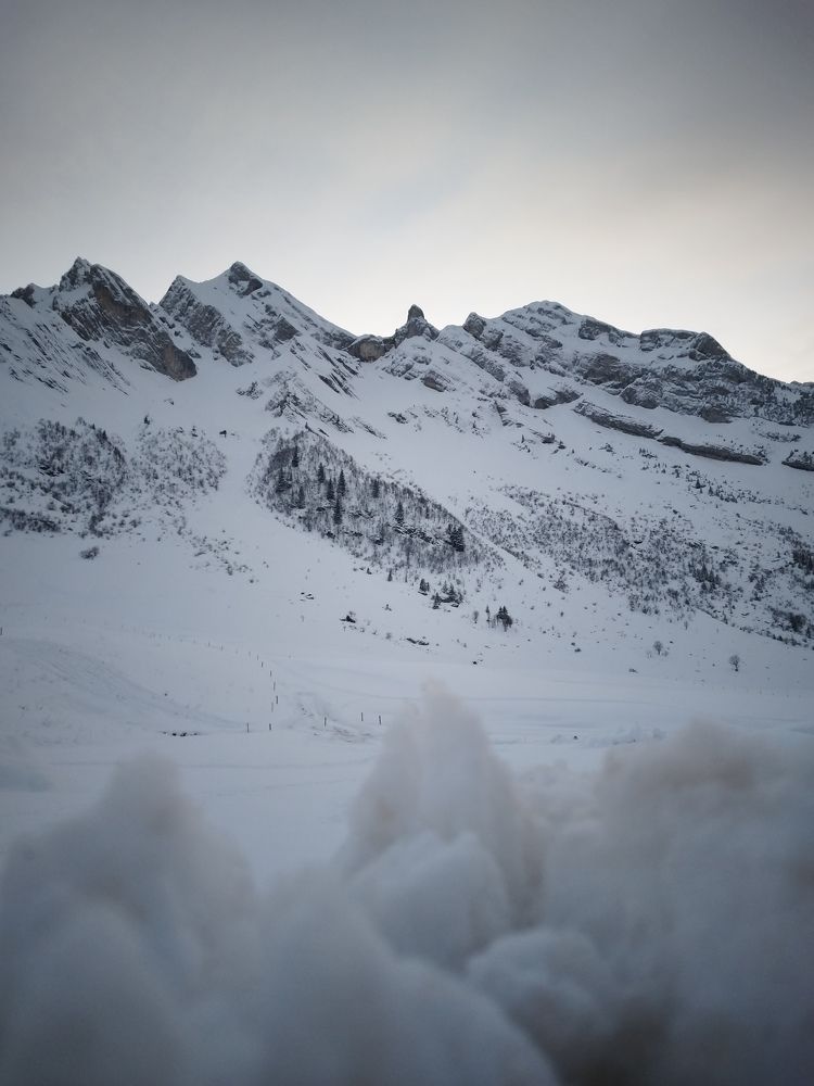 Фотография автора Clarise Joy Evangelista