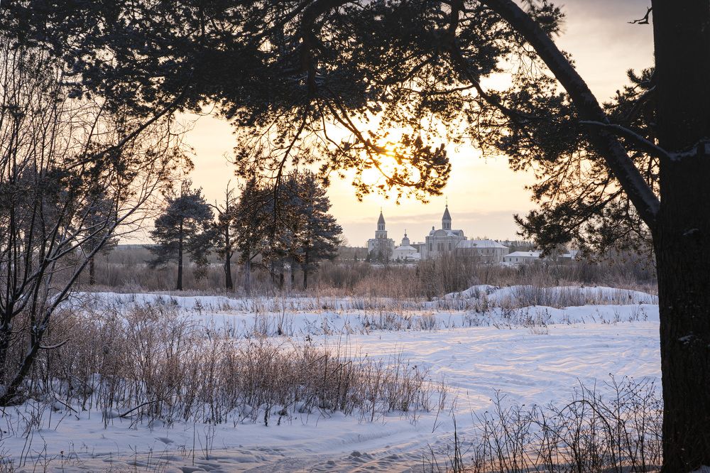 Photograph by Светлана Волкова