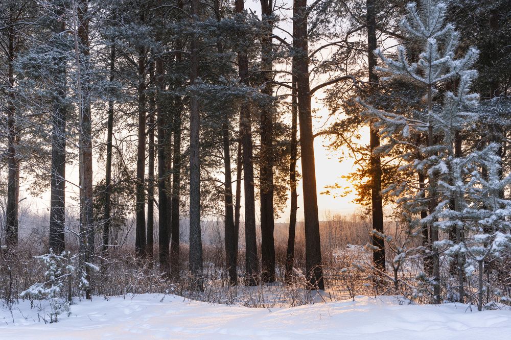 Photograph by Светлана Волкова