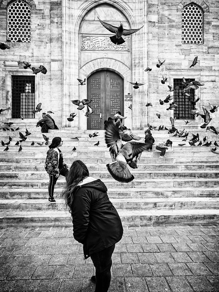 Фотография автора Василий Рябовол